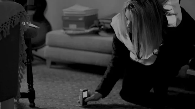 Domestic Energy Assessor using laser range finder on an assessment